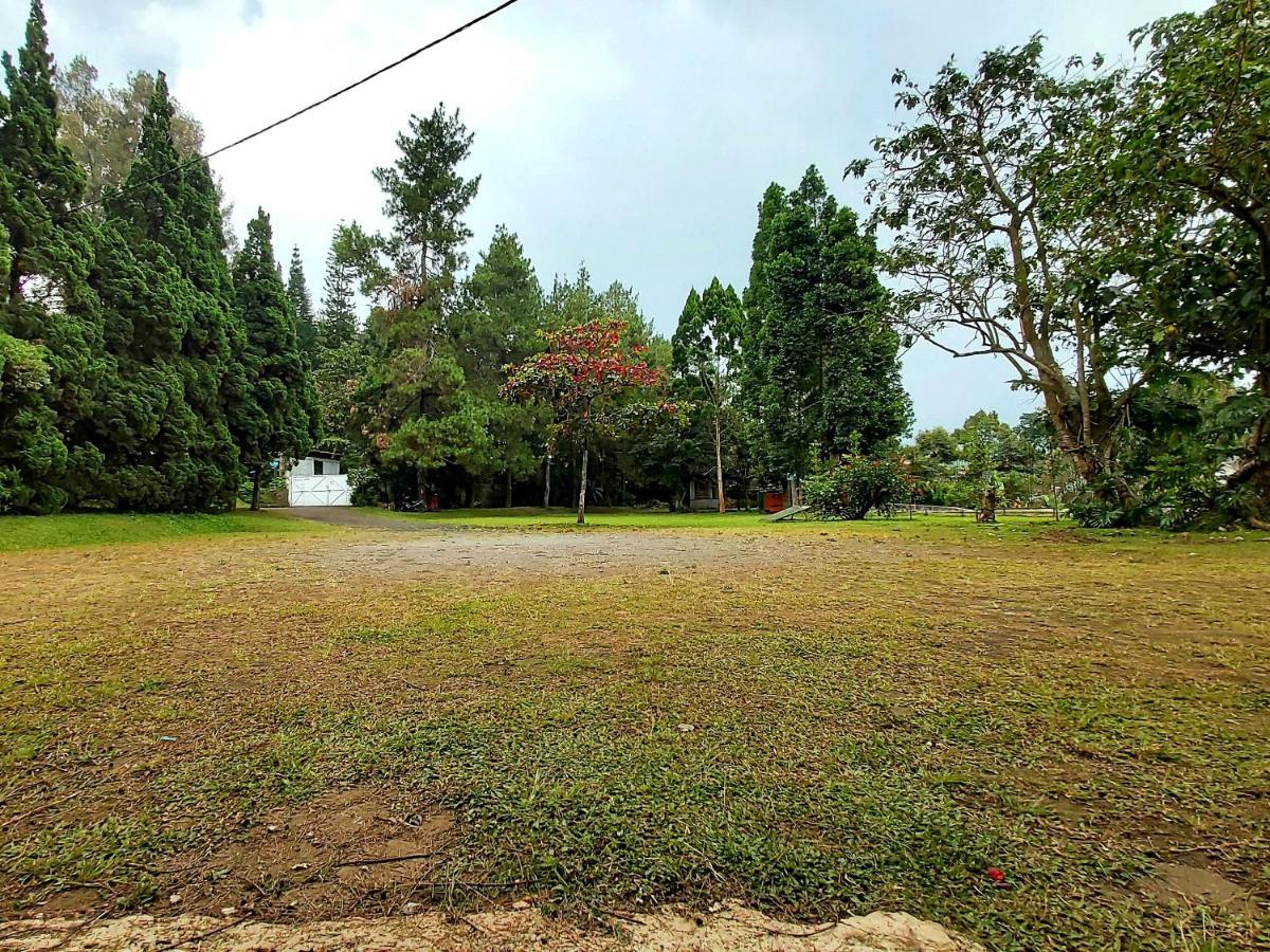 Bongkor 1 Vila Kolmas 59ヴィラ エクステリア 写真